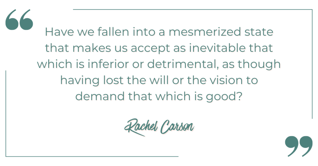 The Whisper of Nature: The enduring legacy of Silent&nbsp;Spring